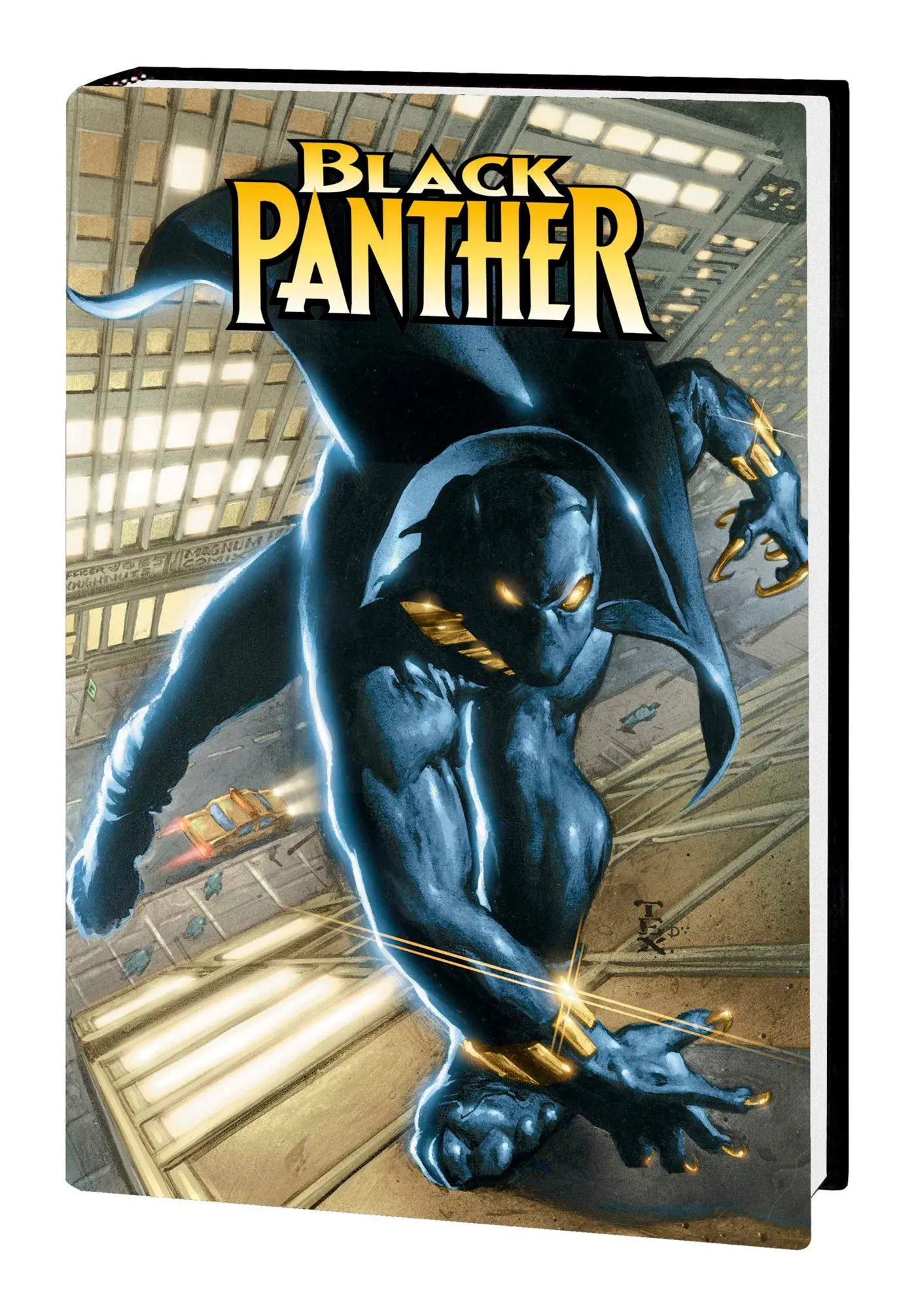 Black Panther By Christopher Priest Omnibus Vol. 1 - Image 12