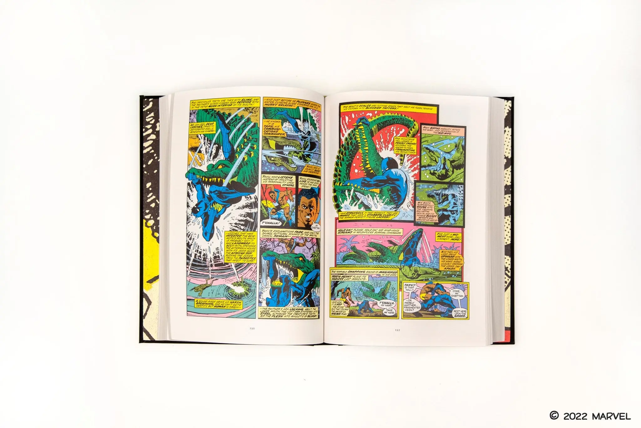 Black Panther - Penguin Classics - Image 3