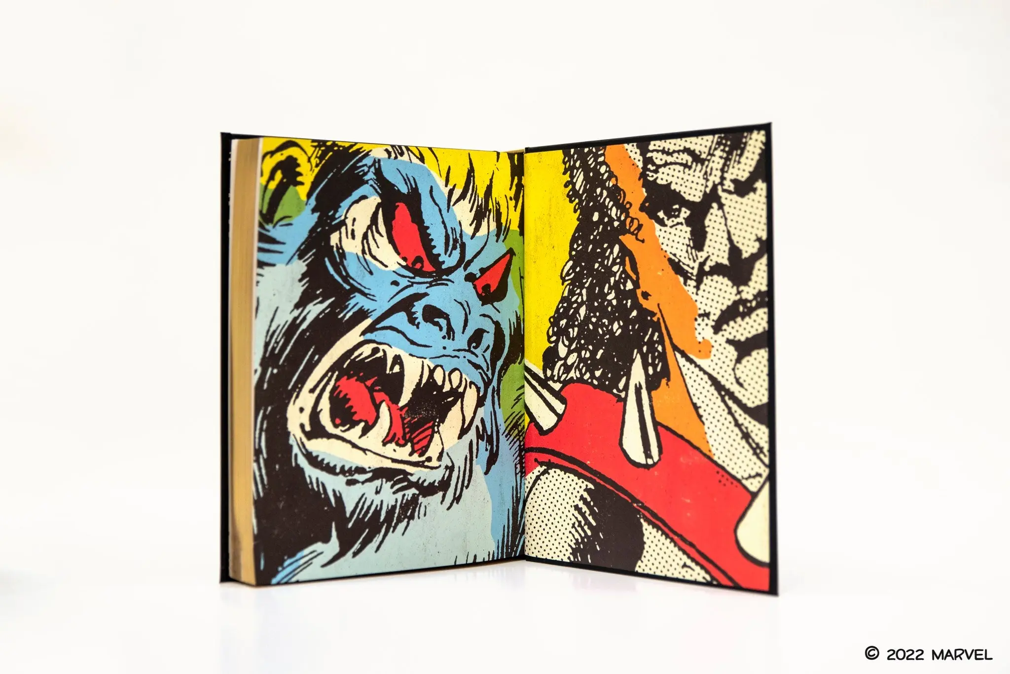 Black Panther - Penguin Classics - Image 4