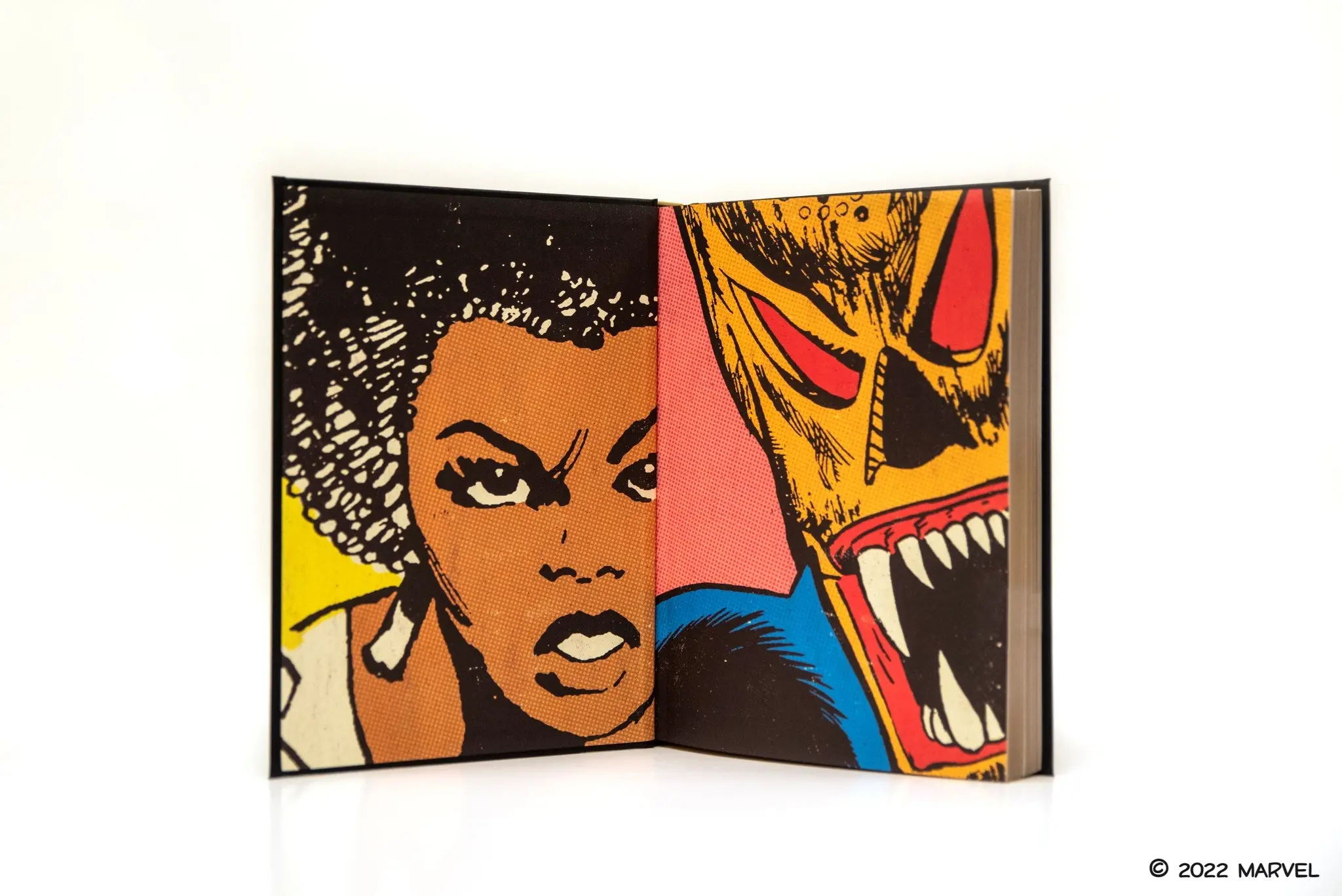 Black Panther - Penguin Classics - Image 5