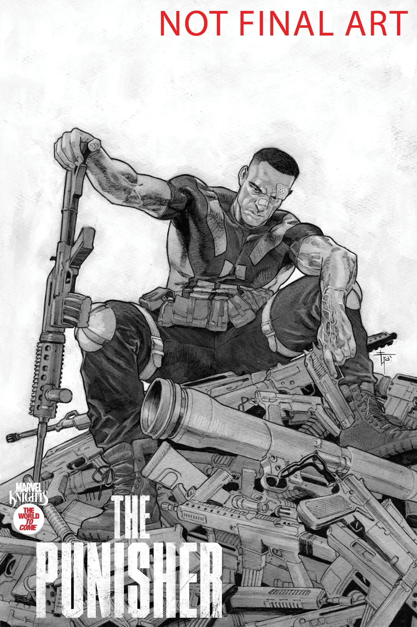 Marvel Knights: Punisher #2 - Image 2