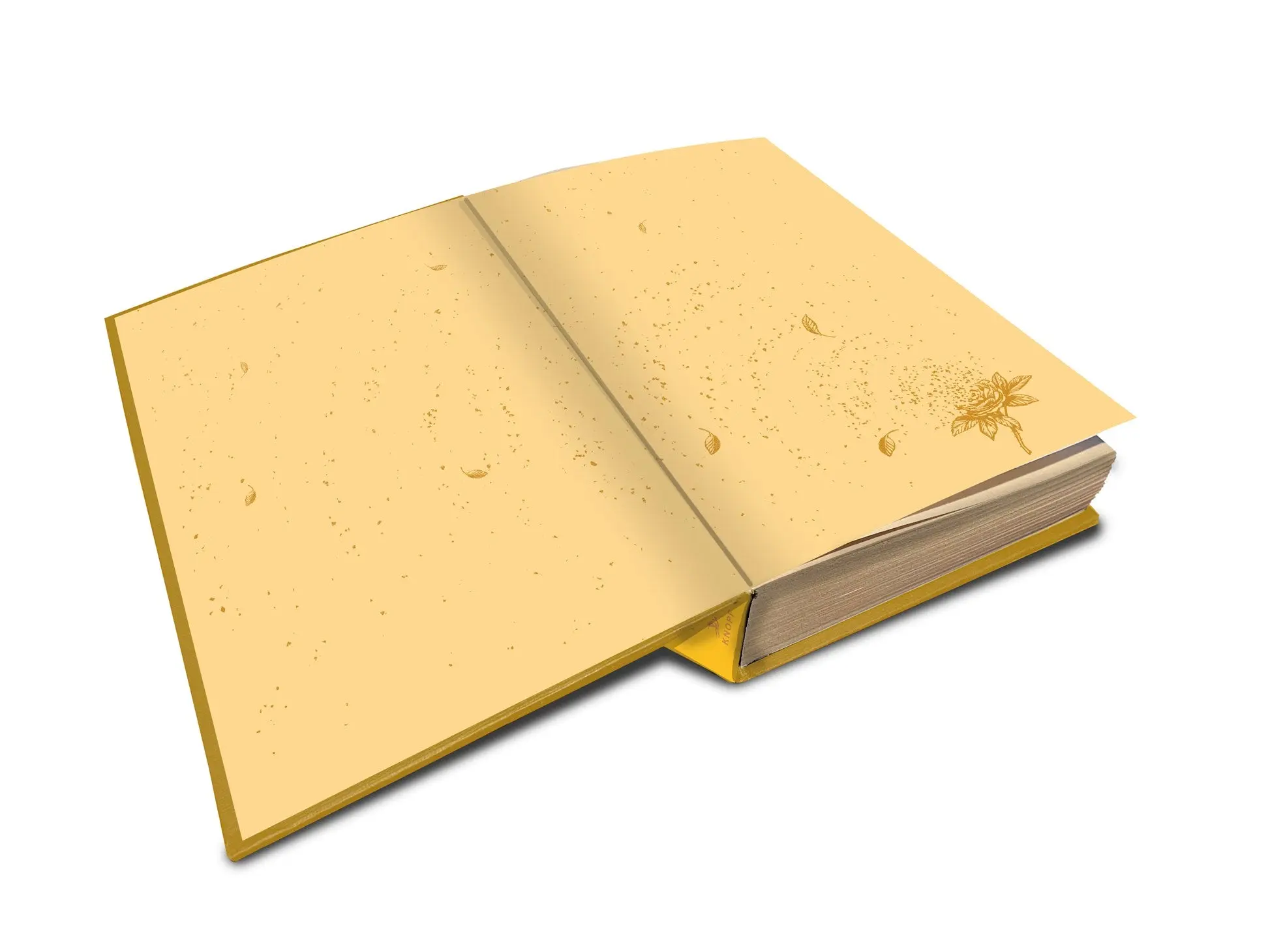 The Book of Dust: The Rose Field (Book of Dust, Volume 3) - Image 4