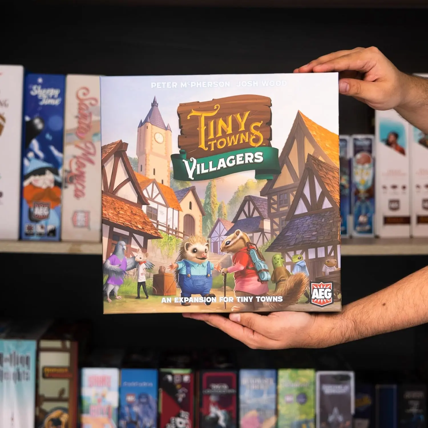 Tiny Towns: Villagers Expansion - Image 5