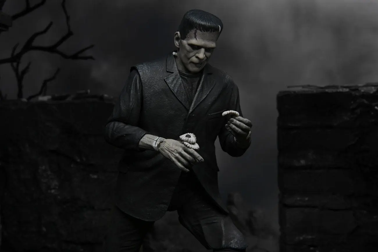Ultimate Frankenstein's Monster - B&W - Image 5